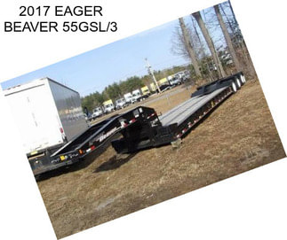 2017 EAGER BEAVER 55GSL/3