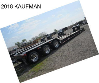 2018 KAUFMAN