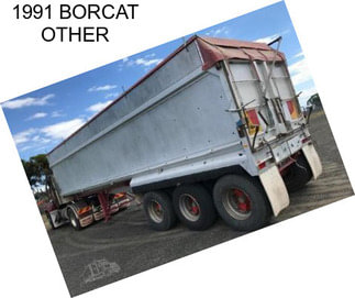 1991 BORCAT OTHER