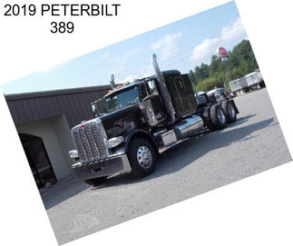 2019 PETERBILT 389