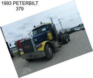 1993 PETERBILT 379