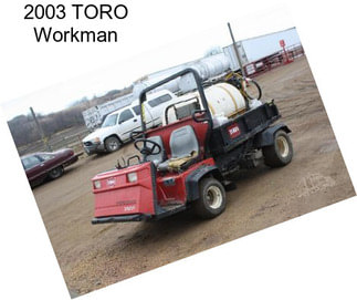 2003 TORO Workman