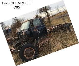 1975 CHEVROLET C65