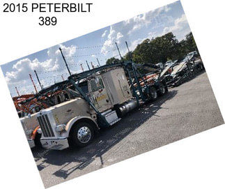 2015 PETERBILT 389