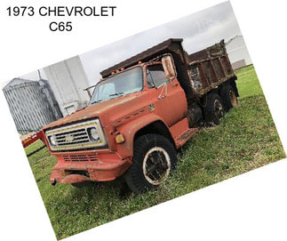 1973 CHEVROLET C65