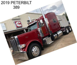 2019 PETERBILT 389