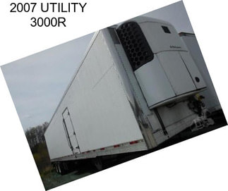 2007 UTILITY 3000R