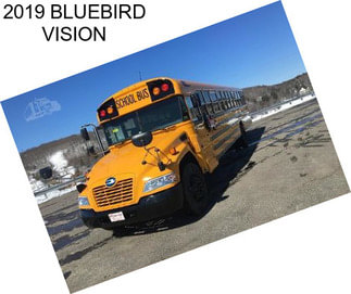 2019 BLUEBIRD VISION
