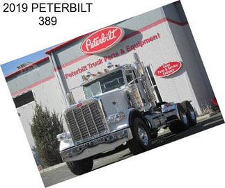 2019 PETERBILT 389