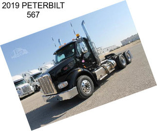 2019 PETERBILT 567