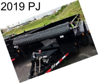 2019 PJ