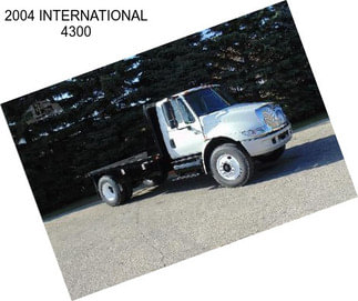 2004 INTERNATIONAL 4300