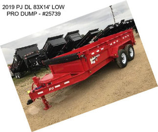 2019 PJ DL 83\