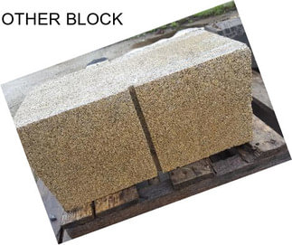 OTHER BLOCK