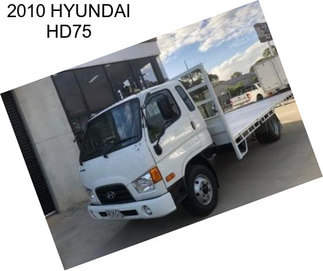 2010 HYUNDAI HD75