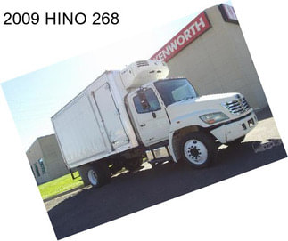 2009 HINO 268