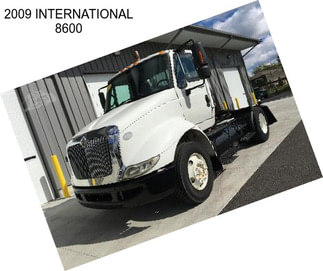 2009 INTERNATIONAL 8600