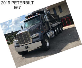 2019 PETERBILT 567