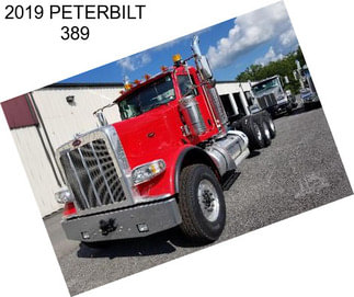 2019 PETERBILT 389