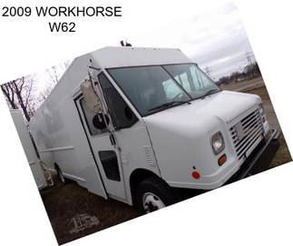 2009 WORKHORSE W62