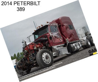 2014 PETERBILT 389