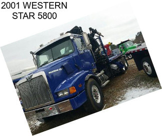 2001 WESTERN STAR 5800