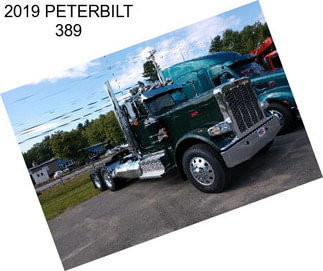 2019 PETERBILT 389