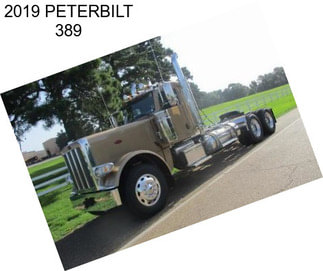 2019 PETERBILT 389