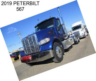 2019 PETERBILT 567