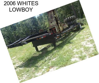 2006 WHITES LOWBOY