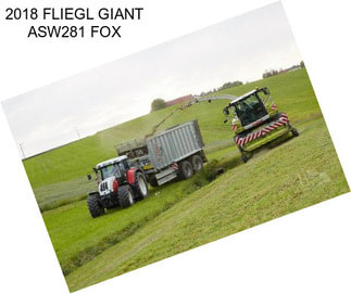 2018 FLIEGL GIANT ASW281 FOX