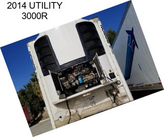 2014 UTILITY 3000R