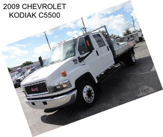 2009 CHEVROLET KODIAK C5500