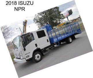 2018 ISUZU NPR