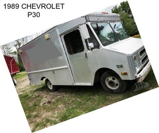 1989 CHEVROLET P30