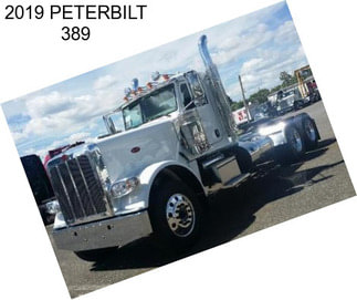 2019 PETERBILT 389