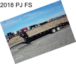 2018 PJ FS