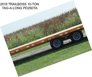 2019 TRAILBOSS 10-TON TAG-A-LONG PD25DTA