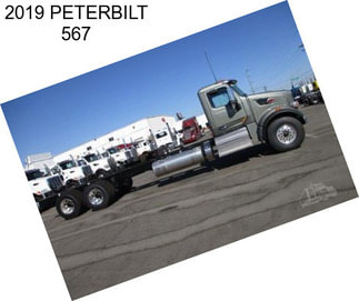 2019 PETERBILT 567