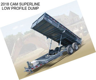 2018 CAM SUPERLINE LOW PROFILE DUMP