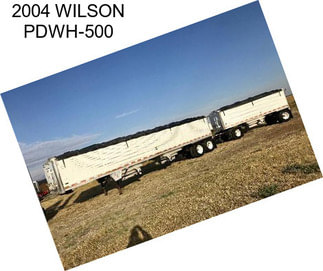 2004 WILSON PDWH-500