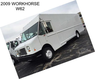 2009 WORKHORSE W62