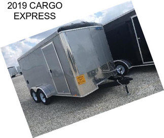 2019 CARGO EXPRESS