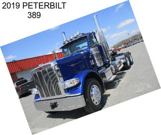 2019 PETERBILT 389