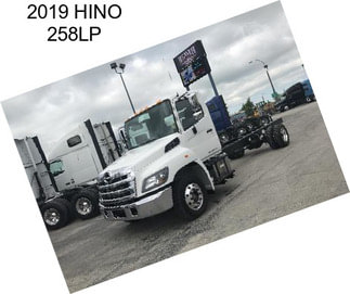 2019 HINO 258LP