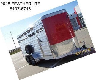 2018 FEATHERLITE 8107-6716