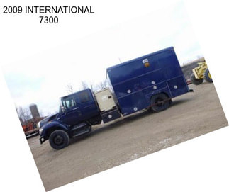 2009 INTERNATIONAL 7300