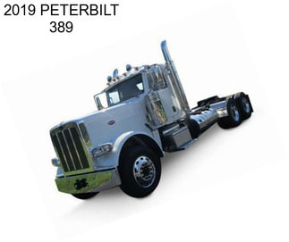 2019 PETERBILT 389