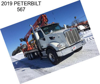 2019 PETERBILT 567