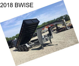 2018 BWISE